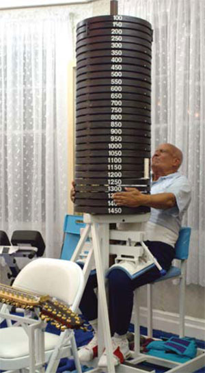 Seated Calf Raise Inspiration Lifts