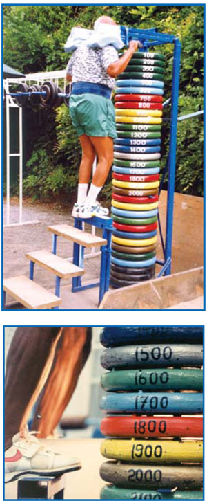 Standing Calf Raise plates weights Inspiration Lifts