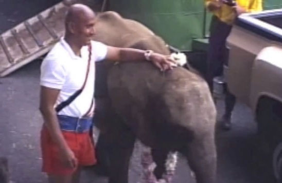 Elephant lift 1986